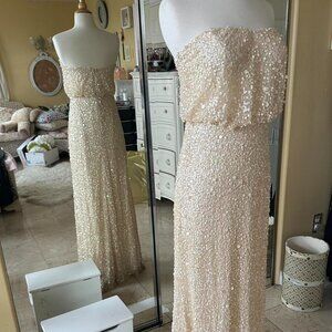 Wow! What a gown. Sequins everywhere. Soft cream